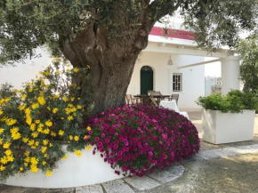 BOUCANVILLE Polignano A Mare